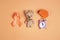 Orange awareness ribbon, brain symbol, toy bear and alarm clock on a orange background