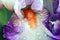 Orange Bearded Iris Flower