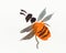 Orange bee hand-drawn in sumi-e suibokuga style