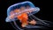 Orange bell jellyfish gracefully drifting in clear blue ocean waters, creating a mesmerizing sight