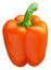 Orange bell pepper