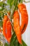 Orange bell peppers in a greenhouse