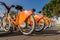 Orange bicycles lined up on pavement in the city. Bike urban transport. Detail of wheels at bycicle sharing point