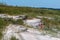 Orange bike in sand dune.