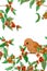 An orange bird on red ripe coffee fruits branches and green leaf illustration seamless vertical pattern, watercolor hand drawing