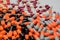 Orange, black, grey, white, red, pale yellow, capsule pills