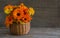 Orange bouquet of marigold flowers in a basket on a wooden background with a copy of space