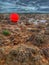 Orange Bouy stranded on seaside rocks