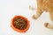 Orange bowl with cat food, mouse, cat paws on a white background. Flat lay composition with cat accessories and food