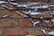 Orange brick wall braided by ivy with snow