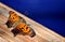 Orange and brown butterfly resting on wooden surface.