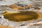 Orange and brown, circular hot spring with limestone rim, Yellowstone.