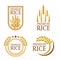 Orange brown paddy premium rice natural product banner and logo art vector design