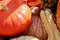 Orange bumpy pumpkin gourd fall macro background