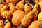 Orange bumpy pumpkin gourd fall macro background