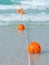 Orange buoy