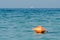 Orange Buoy In Ocean