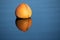 Orange buoy with reflection in the blue calm water of a lake, concept for relaxation, take a break and leisure activity, copy