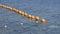 Orange buoys on a rope in the sea. Fencing for swimming in the sea