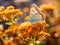 Orange butterfly spread its wings on a white 1690445880383 8