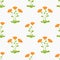 Orange Calendula flowers seamless pattern