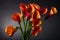 Orange Calla lilies (Zantedeschia) over black