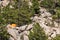 Orange Camping Tent at Eleven Mile Canyon Colorado Landscapes