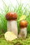 Orange-cap boletus