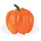 Orange Capsicum Pepper