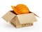 Orange cardboard box