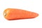 Orange carrot healthy vegetable healthy food