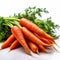 orange carrots arranged neatly on a pure white background