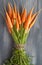 orange carrots on a blue background