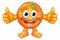 Orange Cartoon Fruit Mascot Character