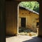 An orange cat at the door of the earth house in the sun.