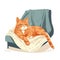 an orange cat laying on top of a blanket on top of a blue chair with a white pillow on it\\\'s back and eyes closed