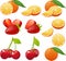 Orange cherry strawberry illustrations