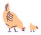 Orange chicken with chick pecking flat vector illustration. Domestic bird breeding concept. Mother hen isolated design