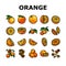 orange citrus fresh slice juice icons set vector