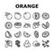 orange citrus fresh slice juice icons set vector