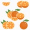 Orange. Citrus fruit with leaf - whole, half, slice. Vector.