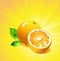 Orange citrus fruit. Vector