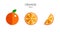 Orange citrus vector icons . Modern Flat style design