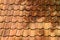 Orange clay tiles on the roof . Netherlands, July