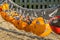 Orange climbing helmets