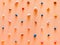 Orange Climbing Wall With Colorful Holds