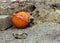 orange construction helmet and mitten lies on the edge of the ditch, where the reconstruction works water pipes.