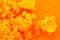 Orange crystals. Abstract background. Macro. Blur