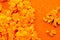Orange crystals. Abstract background. Macro. Blur