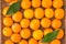 Orange cumquats or kumquats with green leaves